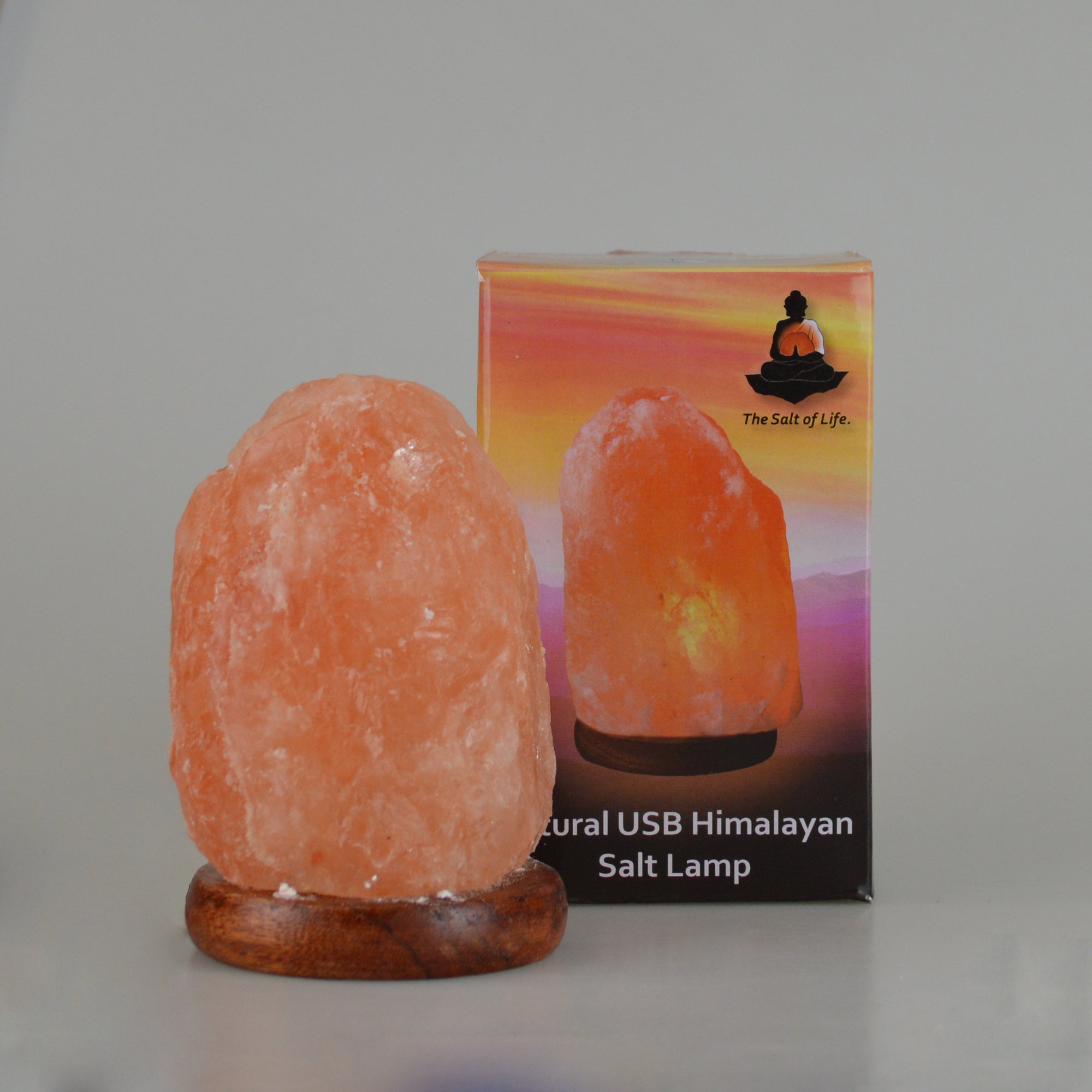 The Salt of Life - Himalayan Salt Lamp Natural USB