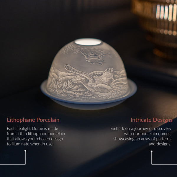 Porcelain Tealight Dome - 'Turtle-y My Best Friend'