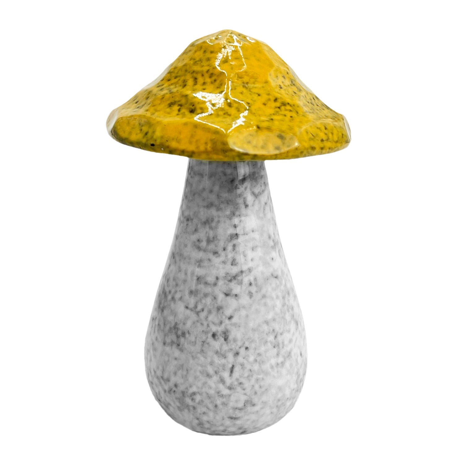 Home - Mushrooms - Large