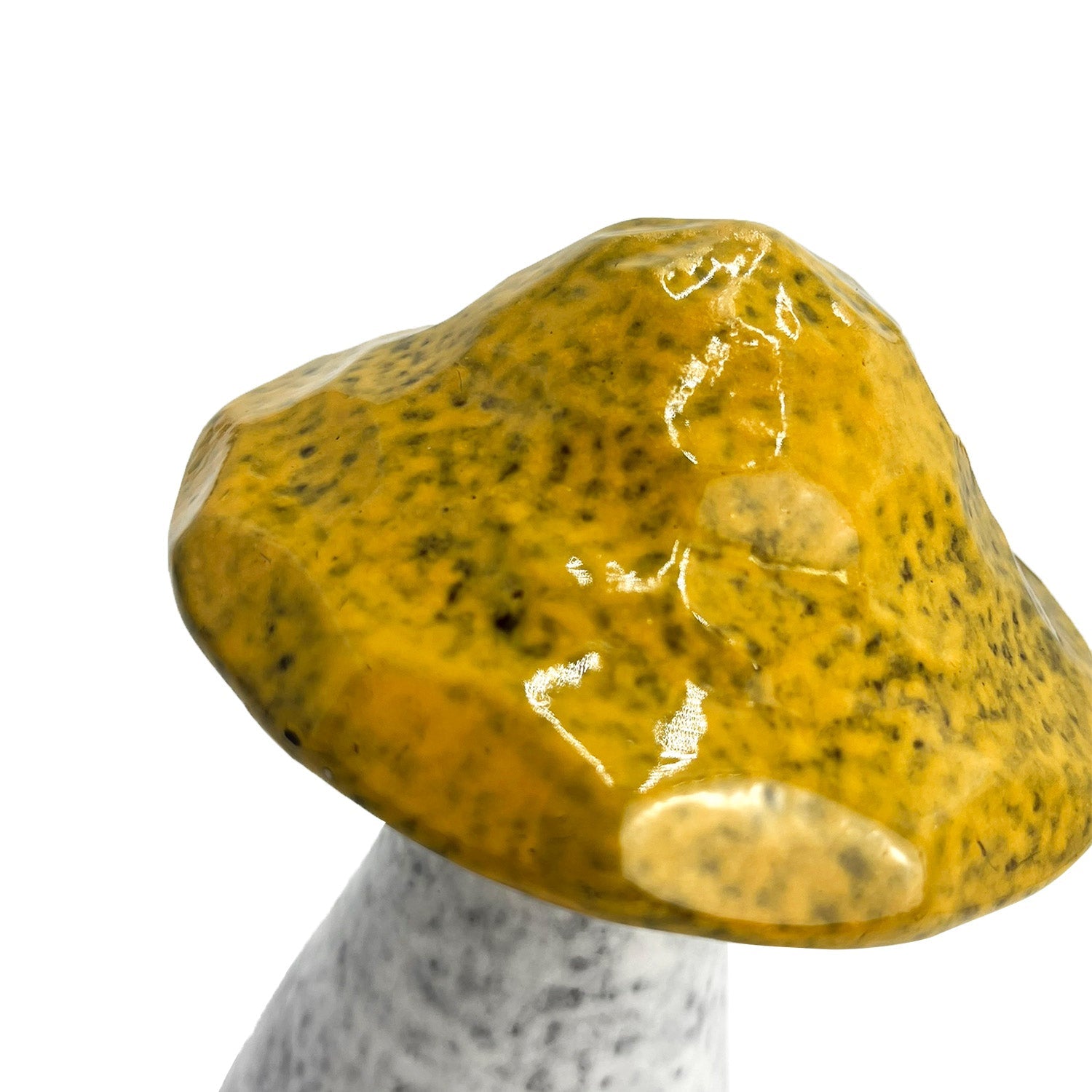 Home - Mushrooms - Medium