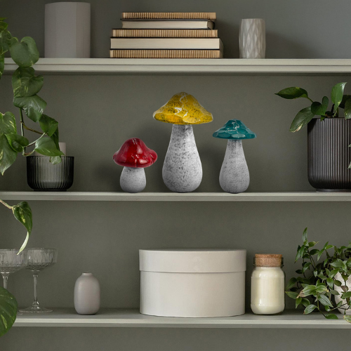 Home - Mushrooms - Medium