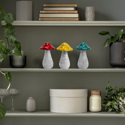 Home - Mushrooms - Medium
