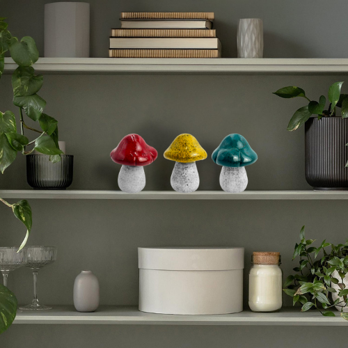 Home - Mushrooms - Small