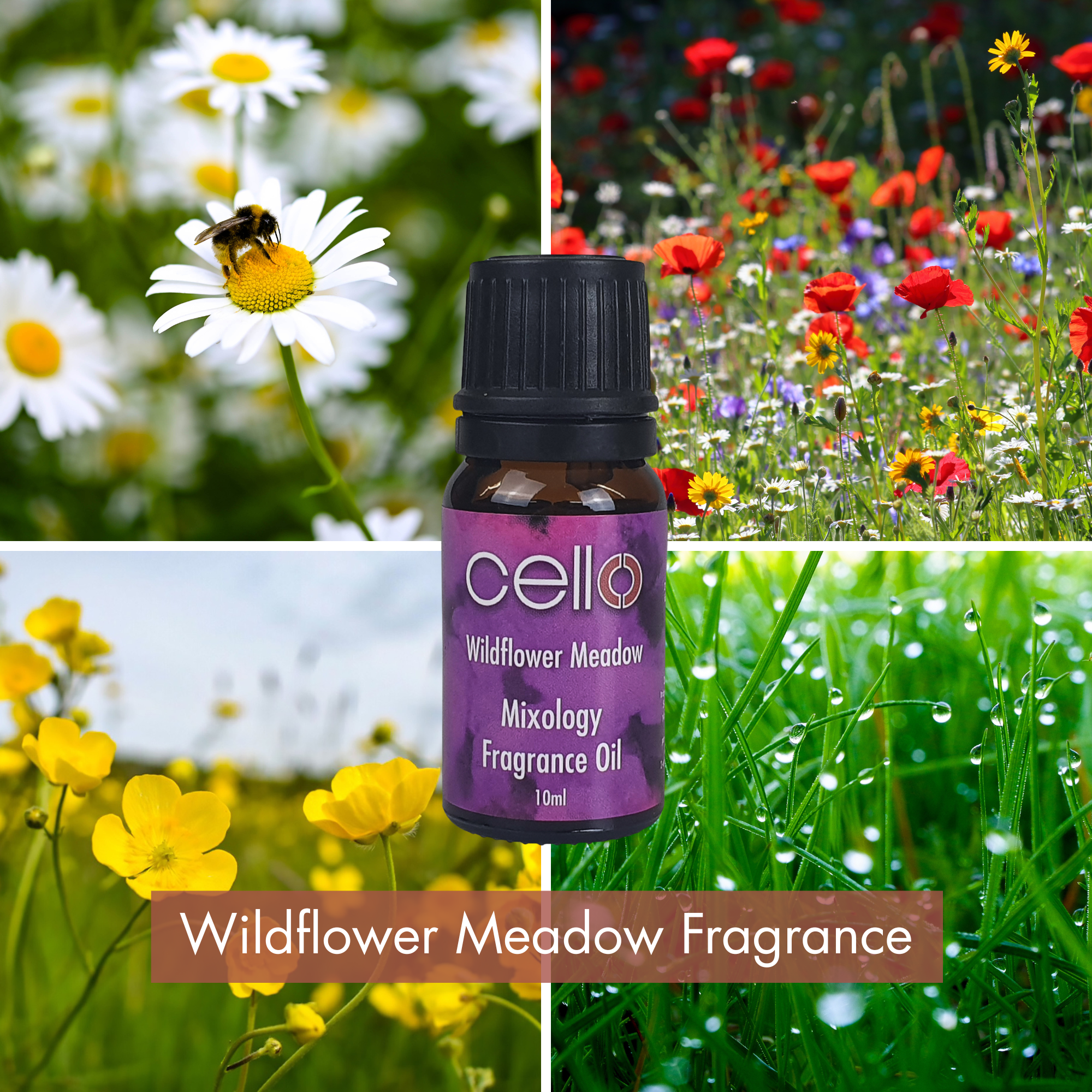 Infinity 3D Ultrasonic Diffuser with 3 Fragrance Oils | Cello